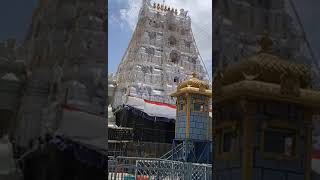 Tirumala Sri Venkateswara Swamy Temple || Srivari Temple Tirumala || Tirupati Balaji Temple