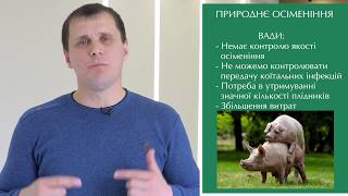 Штучне осіменіння: за і проти / Искусственное осеменение: за и против