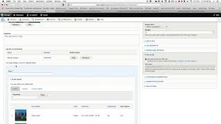 inline entity reference complex widget problem