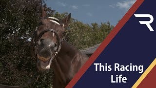 Juddmonte Part 1 - This Racing Life - Racing TV