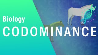 Codominance | Genetics | Biology | FuseSchool