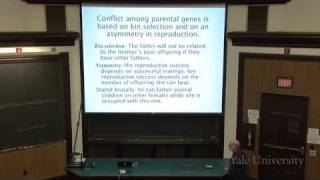 10 Genomic Conflict