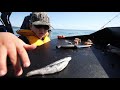 stabicraft 1850 fisher family fishing adventure.