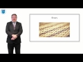 Introduction to Programming and Algorithms module