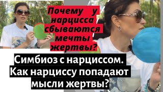 Как нарциссу попадают мысли жертвы? Почему у нарцисса сбываются мечты жертвы? Нарциссический симбиоз