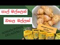 How to Grow Sweet Potatoes  in Bags at home | මගේ පුංචි බතල වගාව | home garden | Sweet potato