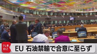 ＥＵ外相理事会 石油禁輸合意できず ハンガリーが補償要求（2022年5月17日）