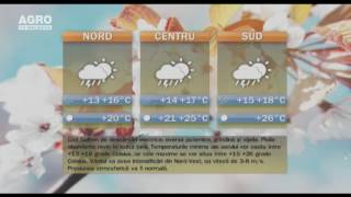 Meteo. Ploile revin în forță