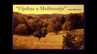 dobravska vuljica ( cd 