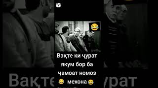 😂 Shavkatiston приколи шавкат  #приколы