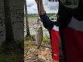 സ്പൈഡർ ചൂണ്ടയിൽ കിട്ടിയത് കണ്ടോ 🎣 viral trending kerala fishing 100 100m thooli pullan