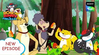 जंगल का झोल |Hunny Bunny Jholmaal Cartoons for kids Hindi|बच्चो की कहानियां |Sony YAY!