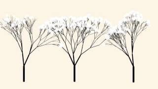 Fractal Trees Processing