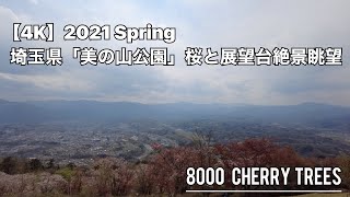 埼玉県秩父「美の山公園」桜と展望台からの絶景眺望　撮影機材 : DJI Pocket 2