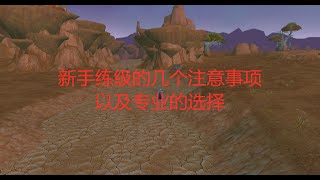 魔兽世界9.0新手练级指南，以及专业技能的选择