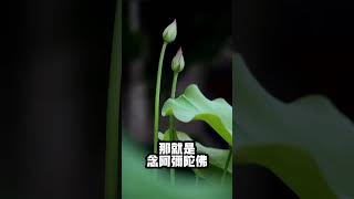 輪迴是怎麼來的呢？怎麼樣不造業？淨空法師開示