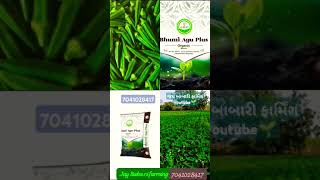 7041028417 Super fast result Jay Parivartan India product result agriculture Jay Baba ri farming 🌱🍆🍅