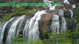 മരോട്ടിച്ചാല്‍ വെള്ളച്ചാട്ടം.... marotichal  water falls   thrissur   kerala.....