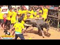 🔴live வா வா.. முடிஞ்சா புடி.. avaniyapuram jallikattu 2023 🔴🔴🔴 அவனியாபுரம் ஜல்லிக்கட்டு நேரலை