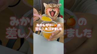 みかんゼリーを皆で食べたよ🍊　就労継続支援b型トイボックス　#利用者募集中 #奈良県 #就労継続支援