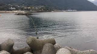 大分の釣り場 田ノ浦ビーチ 仏崎 堤防先端からの別府湾 マリーンパレス水族館うみたまご  テトラ 穴釣り エギング メバリング アジング