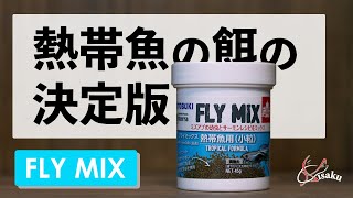 【FLYMIX】熱帯魚の餌に迷ったらコレがおすすめ！初心者必見、虫を使った最強フード【アクアリウム/餌】