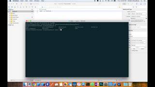 Open Terminal from Xcode