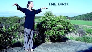 REVIEW : Tai Chi 5 minutes a Day - Module 4 long version with extra silent practice