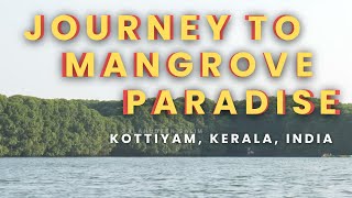 Strolling Towards Kottiyam's Hidden Gem l Kollam l Kottiyam l Kerala l Mangrove