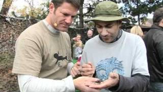 Steve Backshall \u0026 Pete the Bug Man Meet...the Vinegaroon