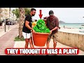 They Thought It Was A PLANT ! Bushman Prank | Hilarious Screams and Laughter!