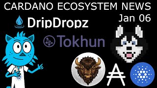 DripDropz Deep Dive - Hosky Token - Bison Coin - Tokhun CNFT Marketplace