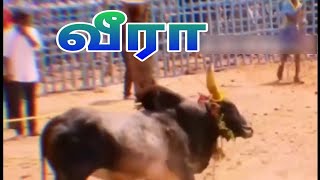 வீரா | மனோஜ் ஸ்டிடியோ | தம்மம்பட்டி |