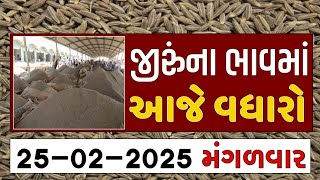 જીરુંના ભાવમાં કેટલો વધારો થશે? | 25-02-2025 | આજના બજાર ભાવ | જીરું નો ભાવ #jeeranabhav