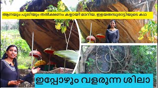 ആനയും പുലിയും തൽക്ഷണം കല്ലായി മാറിയ, ഇളയതമ്പുരാട്ടിയുടെ കഥ II A Must Visit Place Near Sabarimala