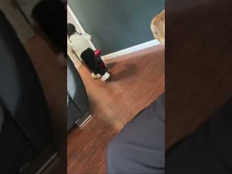 Act Like Nothing Happened Memes Funny Youtube Act Like Nothing Happened Memes Funny Youtube