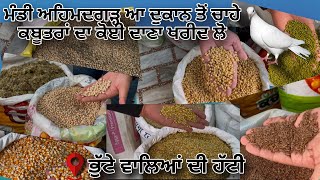 ਕਬੂਤਰਾਂ ਦੀ ਖੁਰਾਕ ਦਾ ਤਾਂ ਖਜਾਨਾ ਬਾਈ ਹੋਨਾ ਕੋਲ਼ | Armaan Kartarpur | Sehaj Medical Store