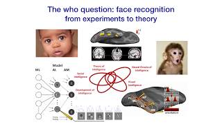 Lecture 0: Tomaso Poggio - Introduction to Brains, Minds, and Machines