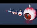 Eye size comparison | From smallest to biggest | 3D animation