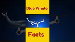 Interesting Facts about Blue whale in telugu #interestingfacts #shorts