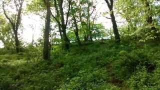 A guided Meditation in the - Trevaylor woods May Majic 2