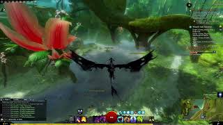 Guild Wars 2 PvE Basic Gameplay