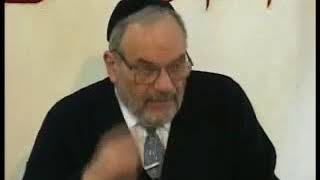 Rabbi Berel Wein - The Jews of Frankfurt