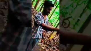 🤨അറിയാവുന്ന നല്ല ഭാഷയിൽ നിന്നോട് ഞാൻ പറയേണ്ടത് പറഞ്ഞു🤫