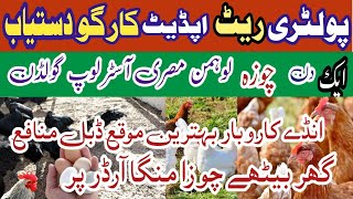 poultry rate update today Pakistan l chuzon k rate   golden Misri poultry farming l voice poultry