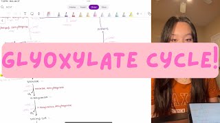 Biochemistry: Glyoxylate Cycle