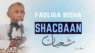 FADLIGA BISHA SHACBAAN 2025 ||sheekh  moalimuu mohamud