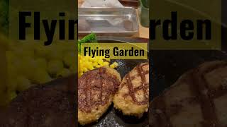 栃木に来たのでFlying Gardenへ行ってみた