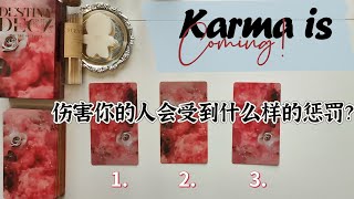 【岚雨塔罗】Karma is Coming！傷害你的人會受到什麼樣的懲罰？