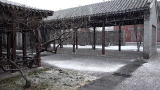 北京,下雪,VLOG,2020-02-14